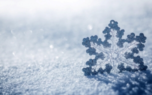 Snow 2560x1440 winter snowflake 4k