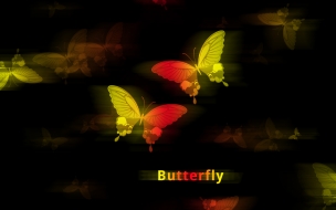 butterfly