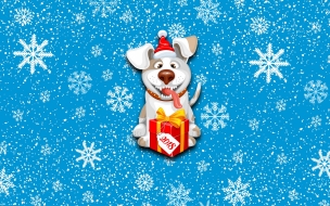 Christmas 2560x1440 new year snow dog cute animals 8k