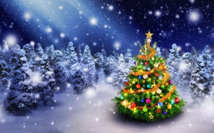 Christmas 2560x1440 new year snow fir tree 5k