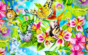 Pintura de flores y mariposas