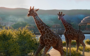 Planet zoo 2560x1440 e3 2019 screenshot 4k