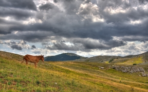 Fondo de paisaje