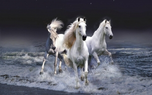 Tres Caballos Blancos