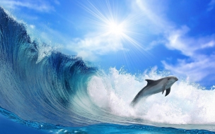 Beautiful wallpaper of a dolphin and a big wave