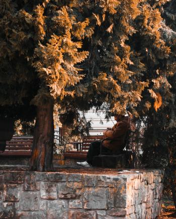 Fondo de pantalla de Fondo de Pantalla de pexels_975589.jpg