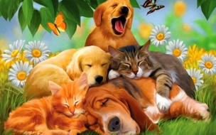 Fondo de pantalla pintura de perros y gatos