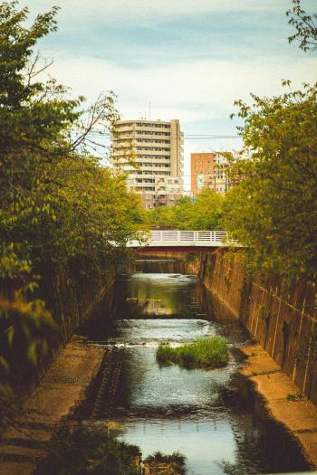 Fondo de pantalla de Fondo de Pantalla de pexels_18179038.jpg