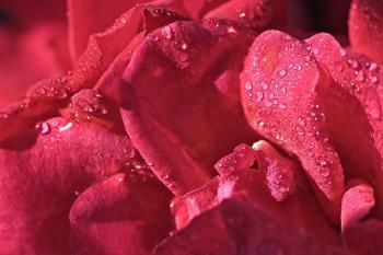 Fondo de pantalla de Fondo de Pantalla de pixabay_8053329.jpg