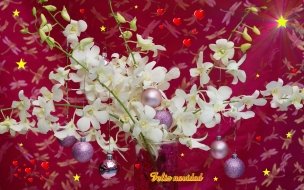 Fondo de pantalla de Fondos hd bolitas en flores