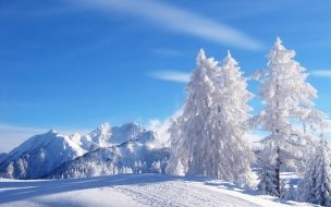 Fondo de pantalla de Fondos hd paisajes nevados y arboles blancos