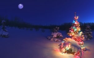 Fondo de pantalla de Fondo de pantalla arboles con nieve y uno encendido