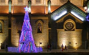 Fondo de pantalla de Fondo de pantalla arbol navideño con baston de colores