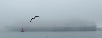 Fondo de pantalla de Fondo de Pantalla de pixabay_2258301.jpg