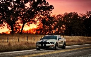 Fondo de pantalla de Ford Shelby HDR wallpaper
