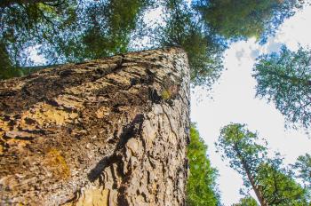 Fondo de pantalla de Fondo de Pantalla de pixabay_5375174.jpg