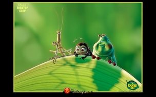 Fondo de pantalla de Vida de Insectos 3