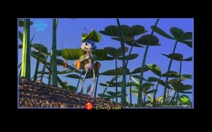 Fondo de pantalla de Vida de Insectos 1