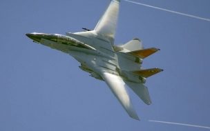 Fondo de pantalla de F 14 Tomcat 2