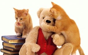 Fondo de pantalla de Adorables gatitos y oso de peluche - Fondo 4K calidad