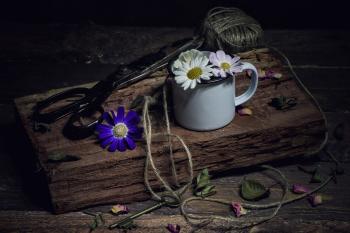 Fondo de pantalla de Fondo de Pantalla de pixabay_7117240.jpg