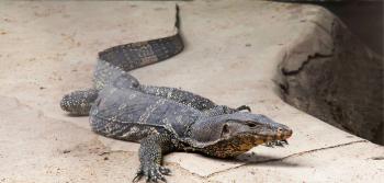 Fondo de pantalla de Fondo de Pantalla de pixabay_6880763.jpg