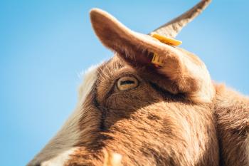 Fondo de pantalla de Fondo de Pantalla de pixabay_6756619.jpg