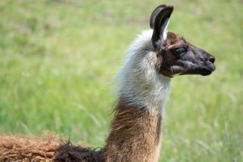 Fondo de pantalla de Fondo de Pantalla de pixabay_5541502.jpg