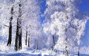 Fondo de pantalla de Camino de nieve