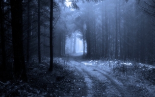 Fondo de pantalla de Camino de bosque