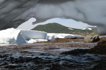 Fondo de pantalla de Fondo de Pantalla de pixabay_5359564.jpg