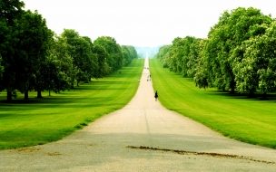 Fondo de pantalla de Camino en gran area verde