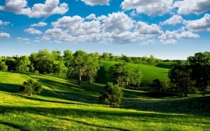 Fondo de pantalla de Campo verde