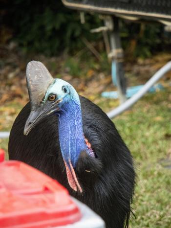 Fondo de pantalla de Fondo de Pantalla de pixabay_5000384.jpg