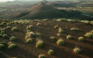Fondo de pantalla de Desierto único