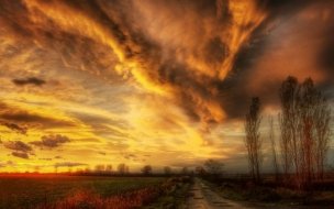 Fondo de pantalla de En el campo