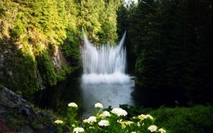 Fondo de pantalla de Flores blancas y cascada