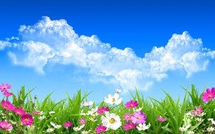 Fondo de pantalla de Flores en primavera