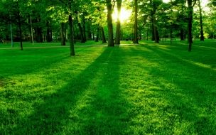 Fondo de pantalla de Hermoso parque