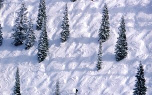 Fondo de pantalla de Personas skiando