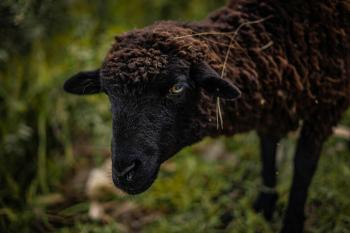 Fondo de pantalla de Fondo de Pantalla de pexels_9912120.jpg