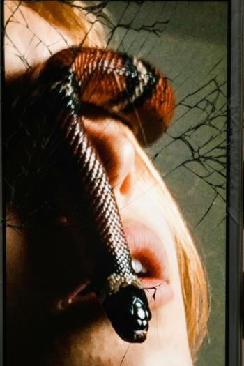 Fondo de pantalla de Fondo de Pantalla de pexels_8458790.jpg