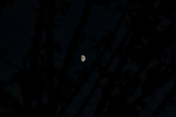 Fondo de pantalla de Fondo de Pantalla de pexels_8661517.jpg