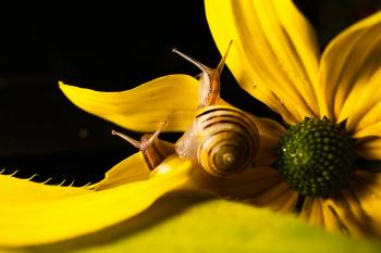 Fondo de pantalla de Fondo de Pantalla de pexels_6004651.jpg