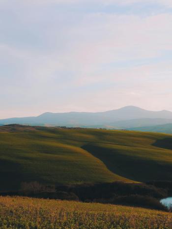 Fondo de pantalla de Fondo de Pantalla de pexels_5614610.jpg