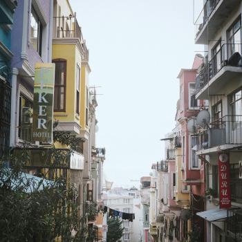 Fondo de pantalla de Fondo de Pantalla de pexels_30726188.jpg