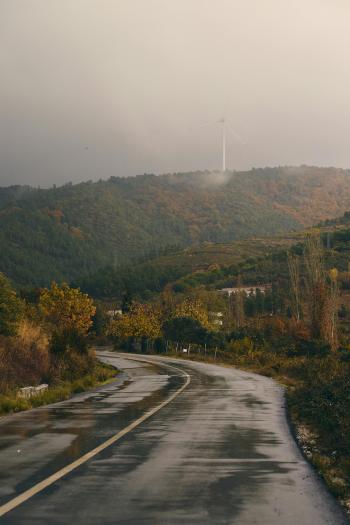 Fondo de pantalla de Fondo de Pantalla de pexels_30667869.jpg