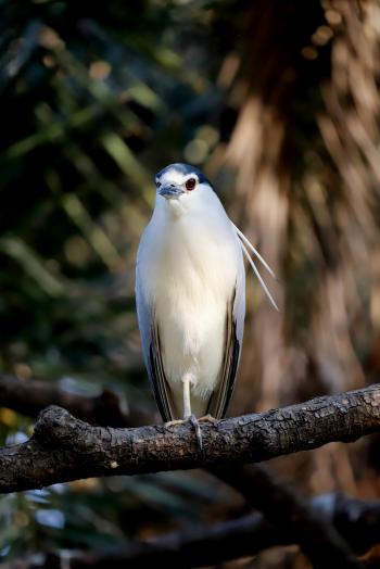 Fondo de pantalla de Fondo de Pantalla de pexels_30662154.jpg