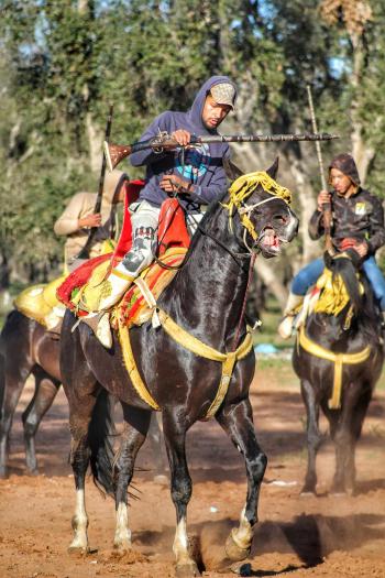 Fondo de pantalla de Fondo de Pantalla de pexels_30666675.jpg