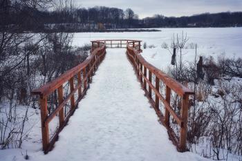 Fondo de pantalla de Fondo de Pantalla de pexels_30601085.jpg